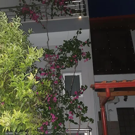 Apartment το σπιτι της μπρουνας